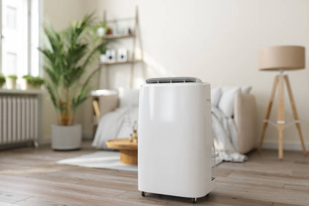 Best Air Filters and Purifiers in Cairo, NE